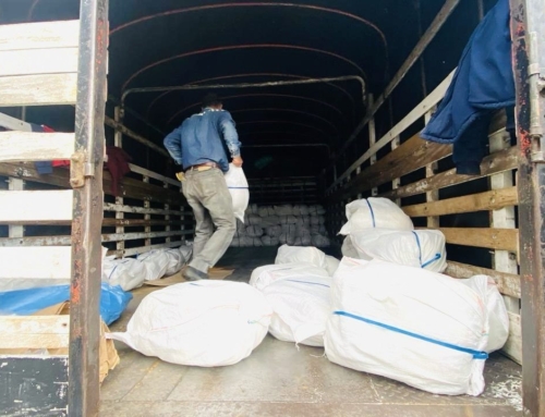 Hope Amid Disaster: Flood Relief for Venezuela