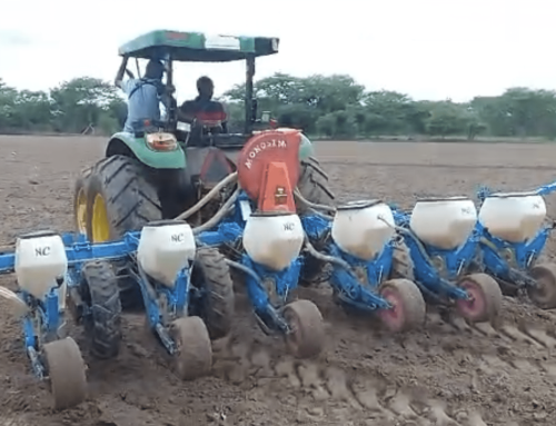 When the Land Flourishes, Hearts Open