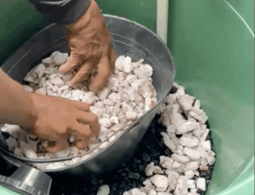 Clean Water, Clean Hearts